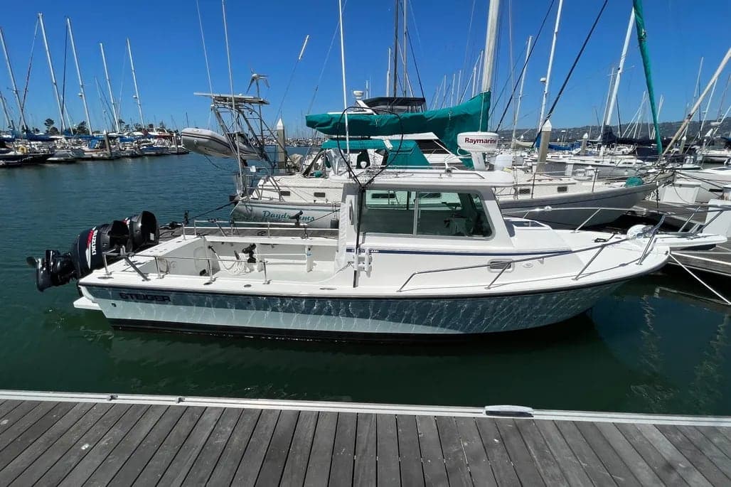 2008 2008 255 DV MIAMI thumbnail 1