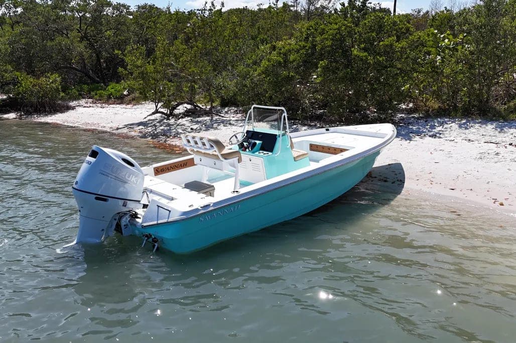 2024 Savannah 210X