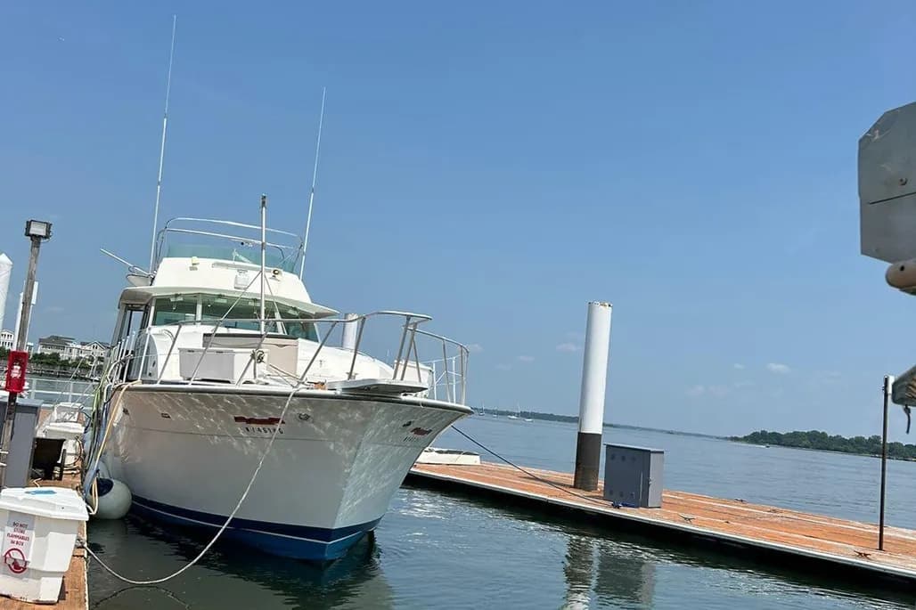 1980 Bertram Flybridge Cruiser