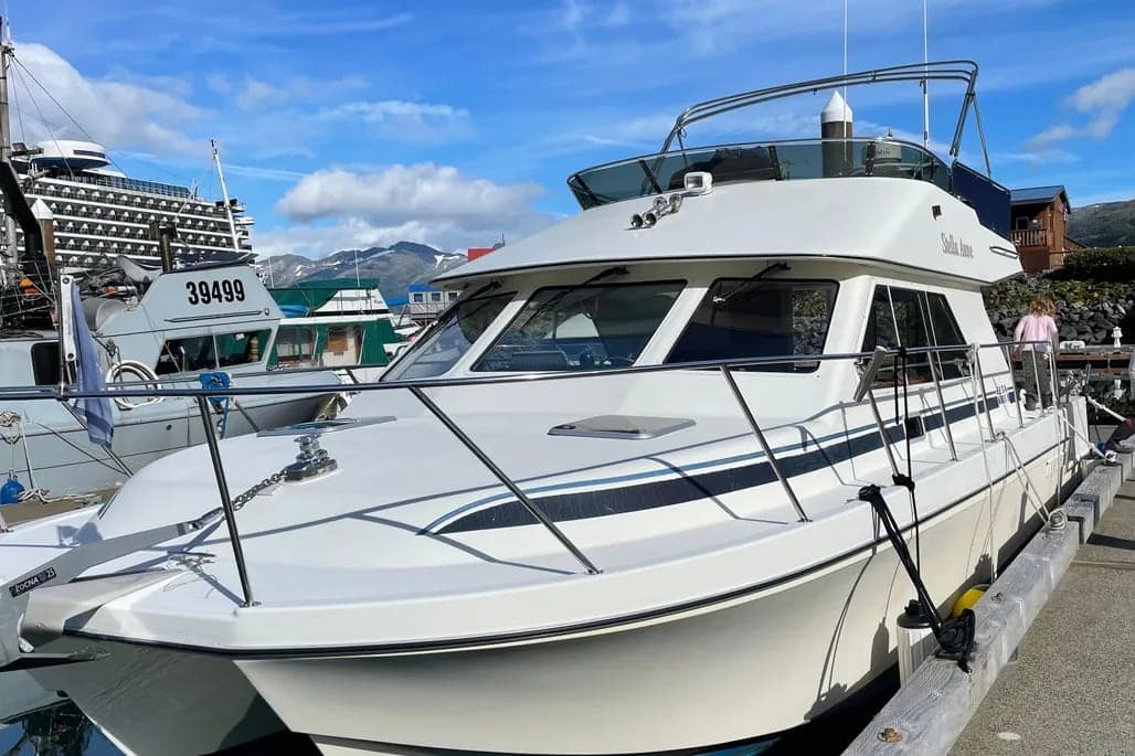 2003 Zeta Powercat 36