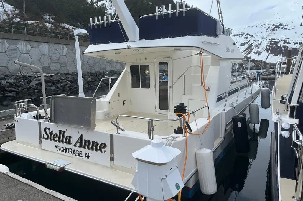 2003 Zeta Powercat 36 thumbnail 1