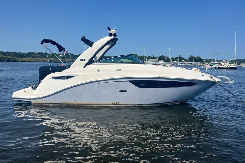 2017 Sea Ray 260 Sundancer thumbnail 1