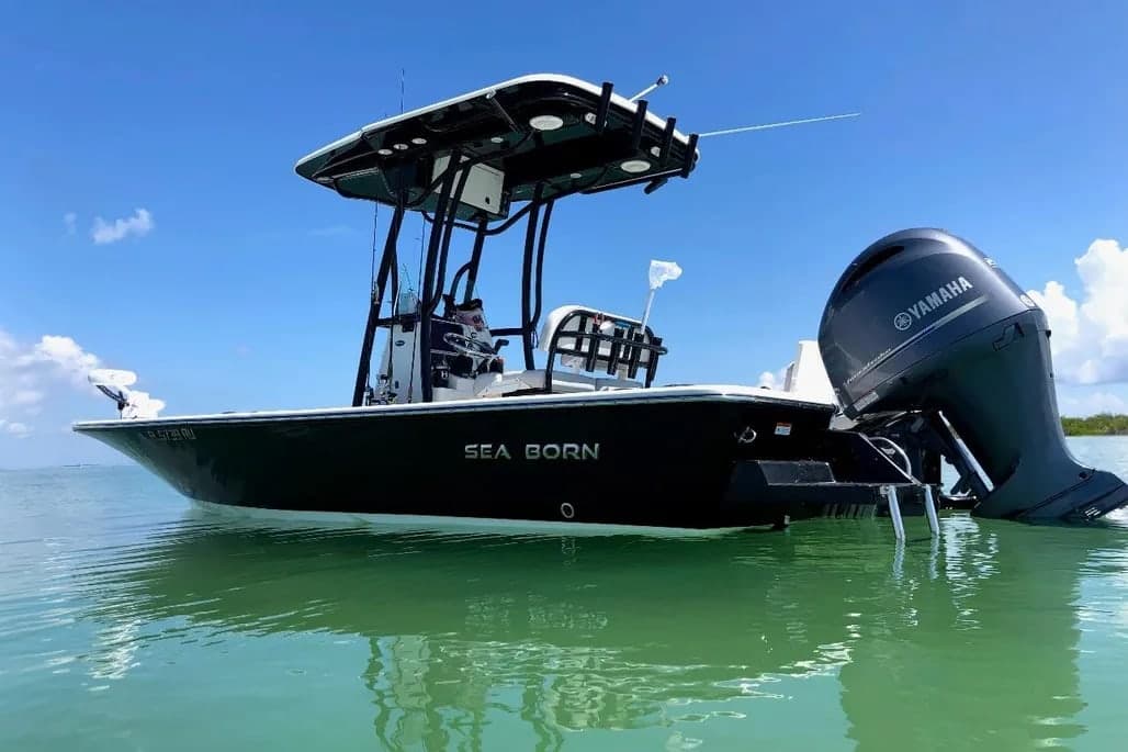 2017 Sea Born FX22 Bay