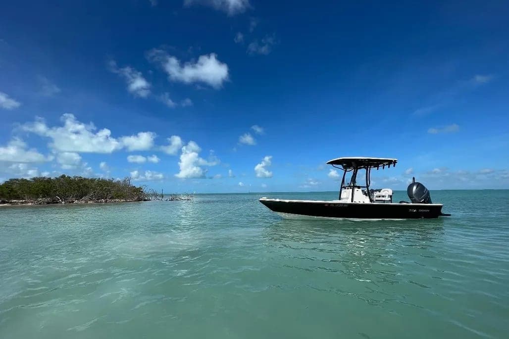 2017 Sea Born FX22 Bay thumbnail 1