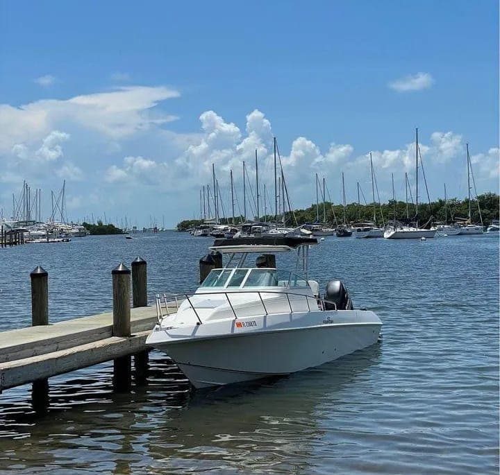 1993 Fountain Walk Around thumbnail 2