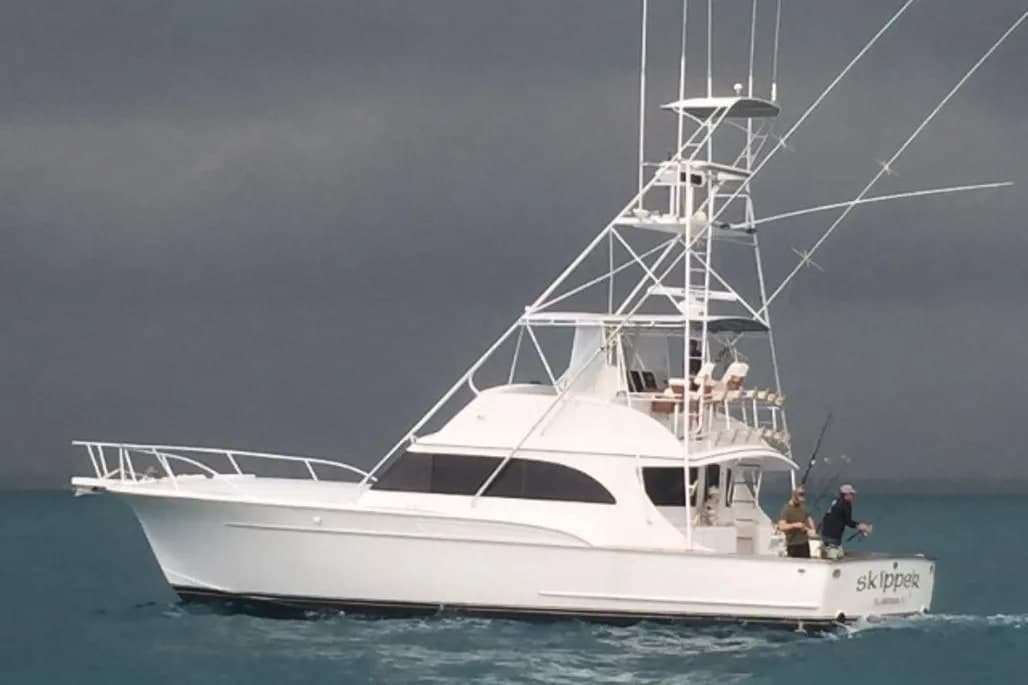 1990 Sunny Briggs Convertible with tuna tower thumbnail 1