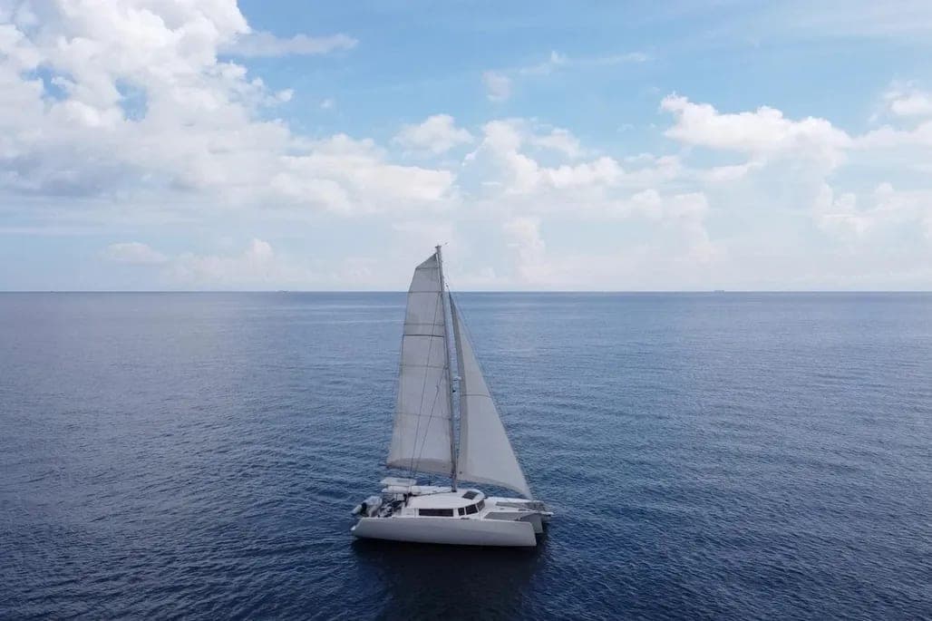 2021 NEEL 43 thumbnail 2