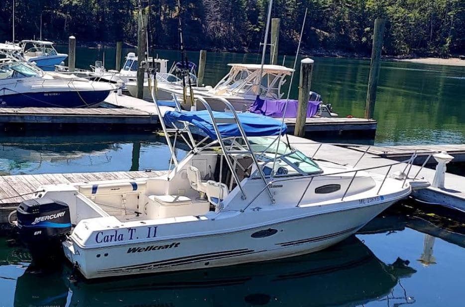 2002 Wellcraft 240 Walkaround