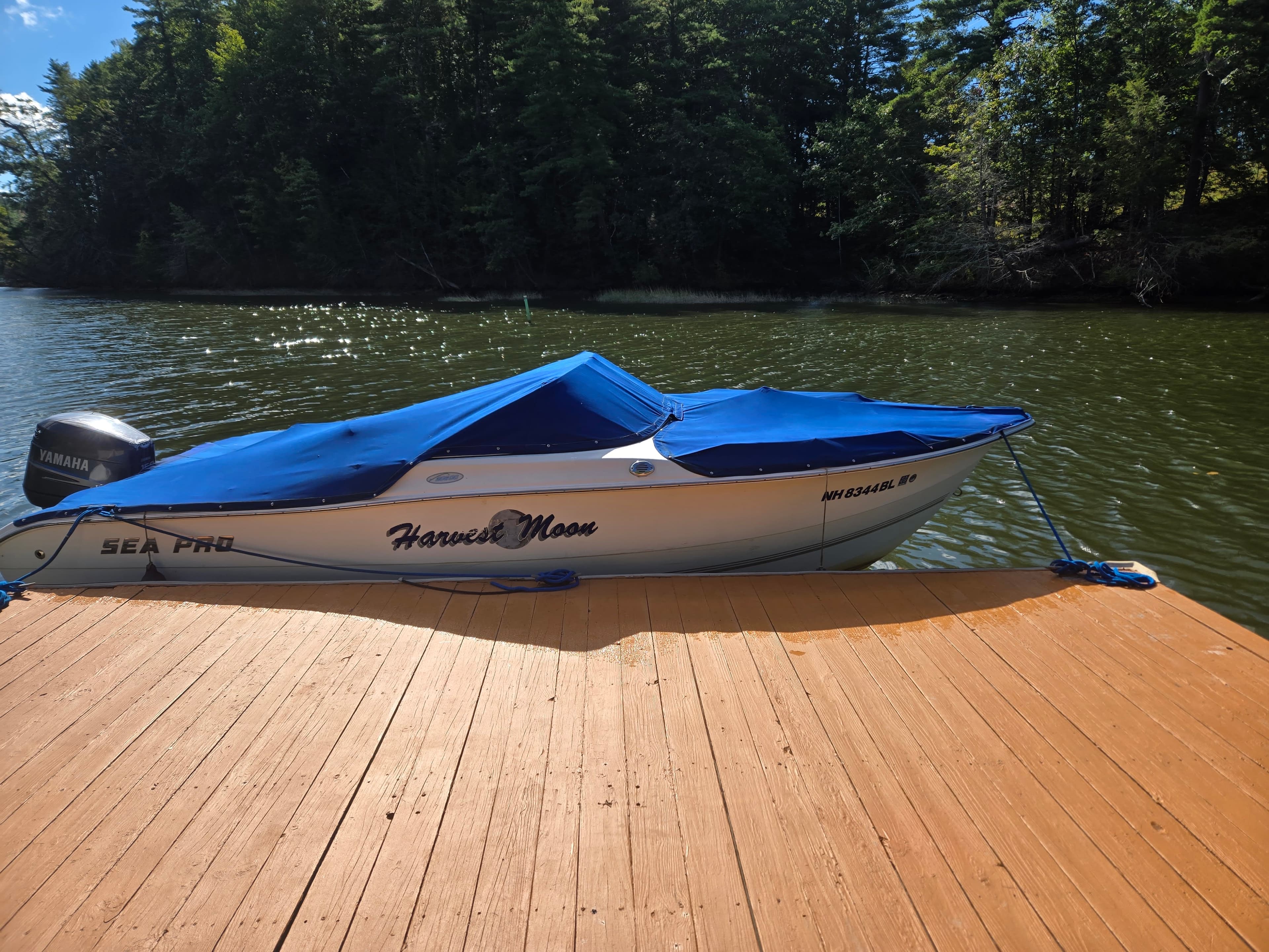 2005 sea pro 206dc thumbnail 1