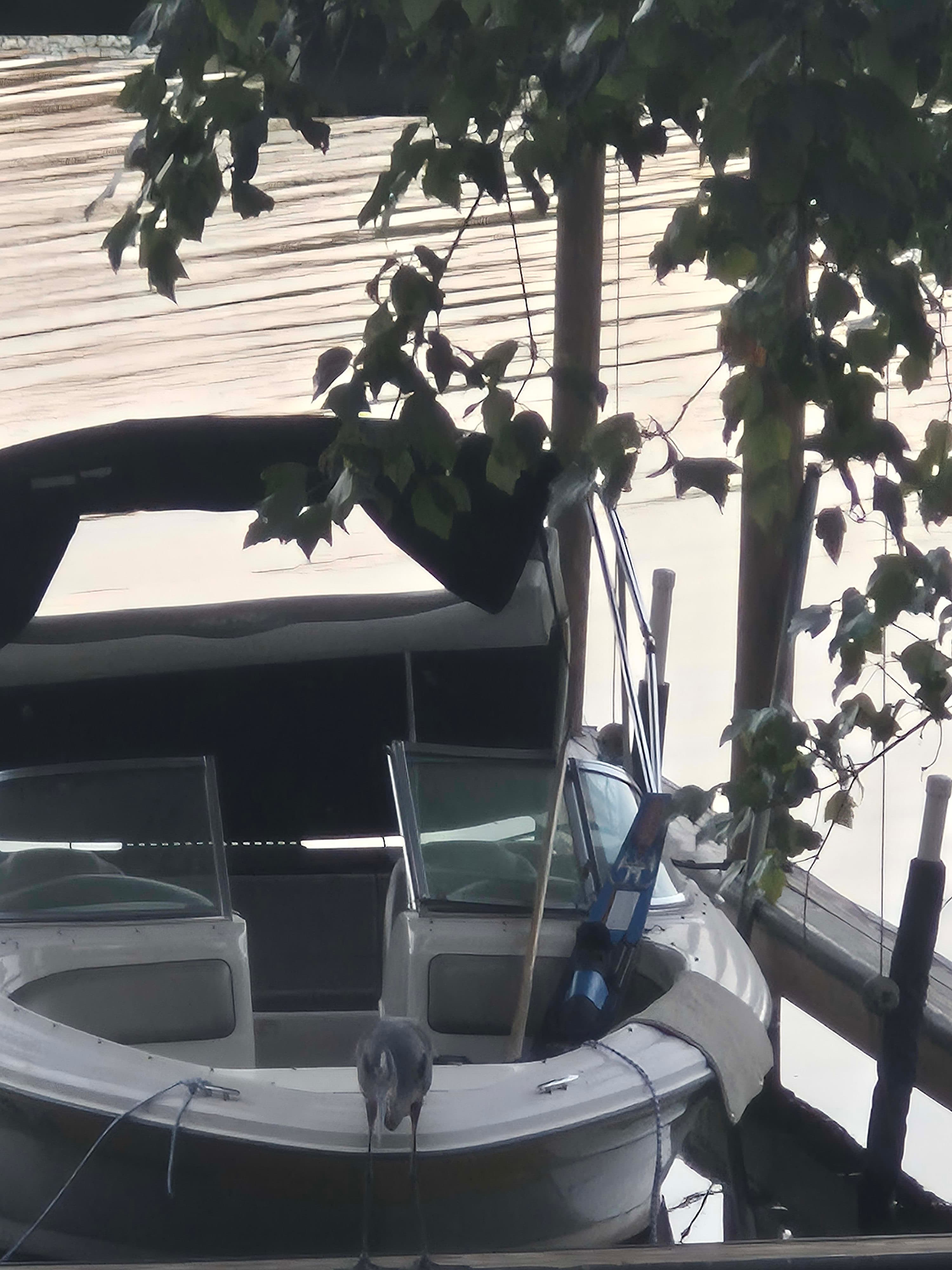 2005 Sea Ray 185 sport thumbnail 1