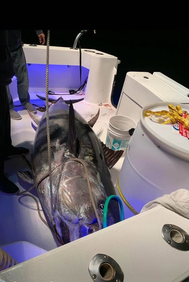 2003 Luhrs 30/Open thumbnail 2