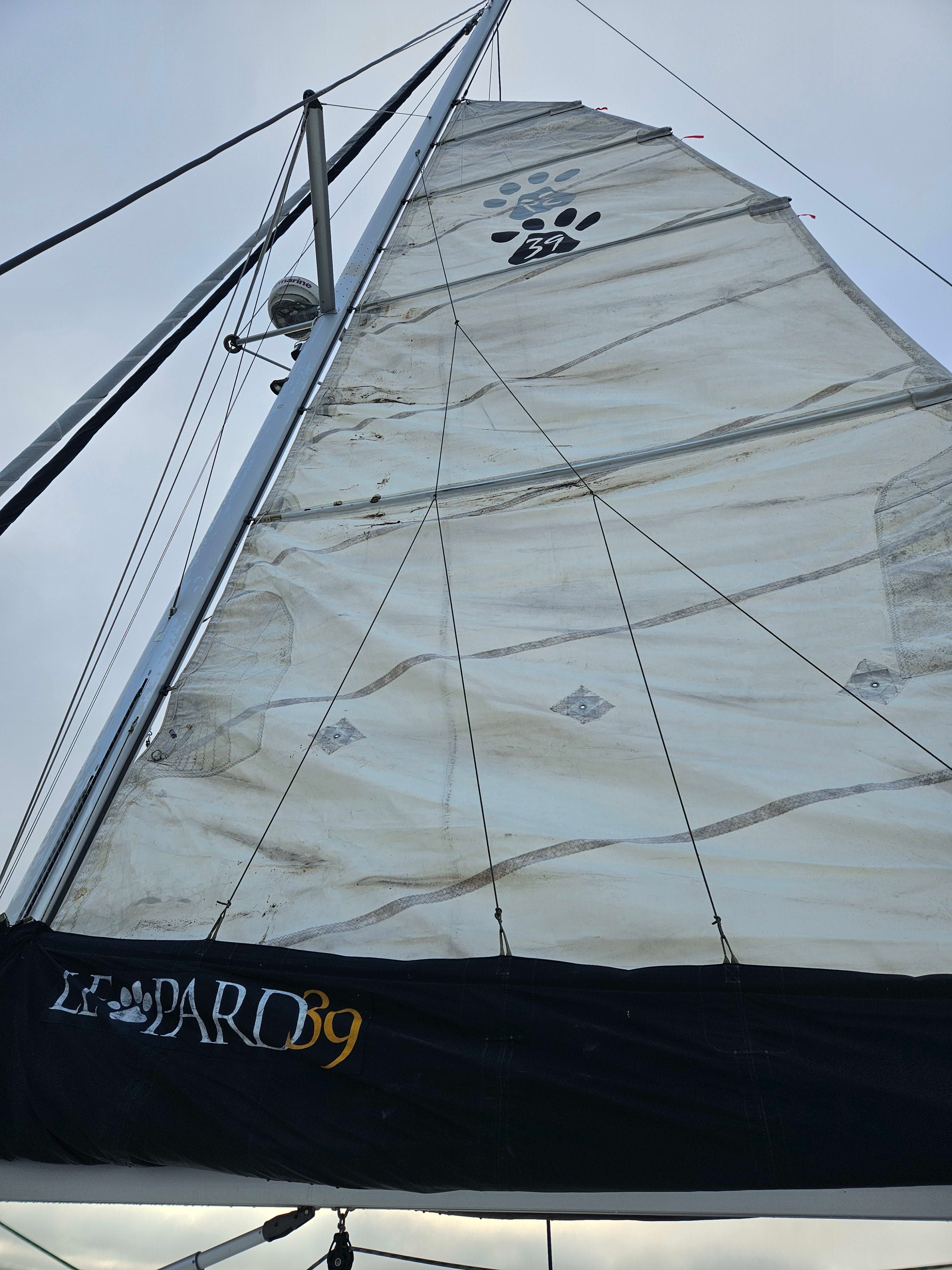 2013 Leopard 39 thumbnail 1