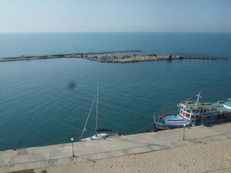 1989 Yachtwerft Berlin Ypton 22 thumbnail 1