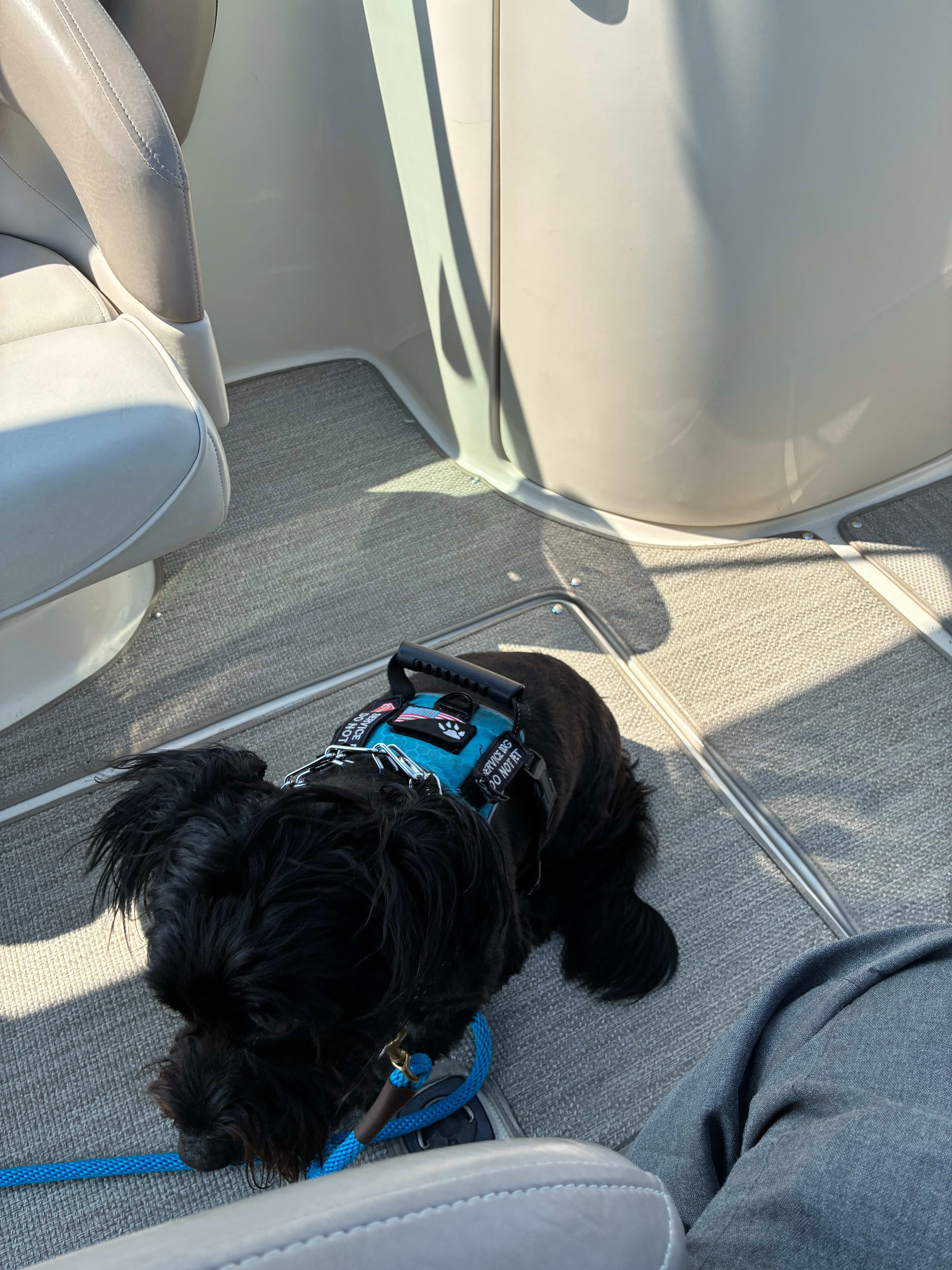 2004 Sea Ray 240 sundeck thumbnail 1
