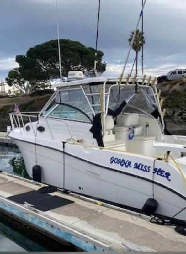2005 Seaswirl swiper 2901 WA thumbnail 1