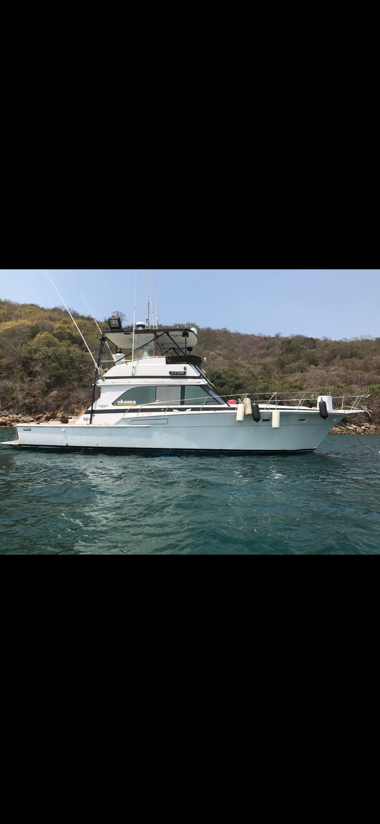 1971 Bertram Offshore Sportfish thumbnail 1