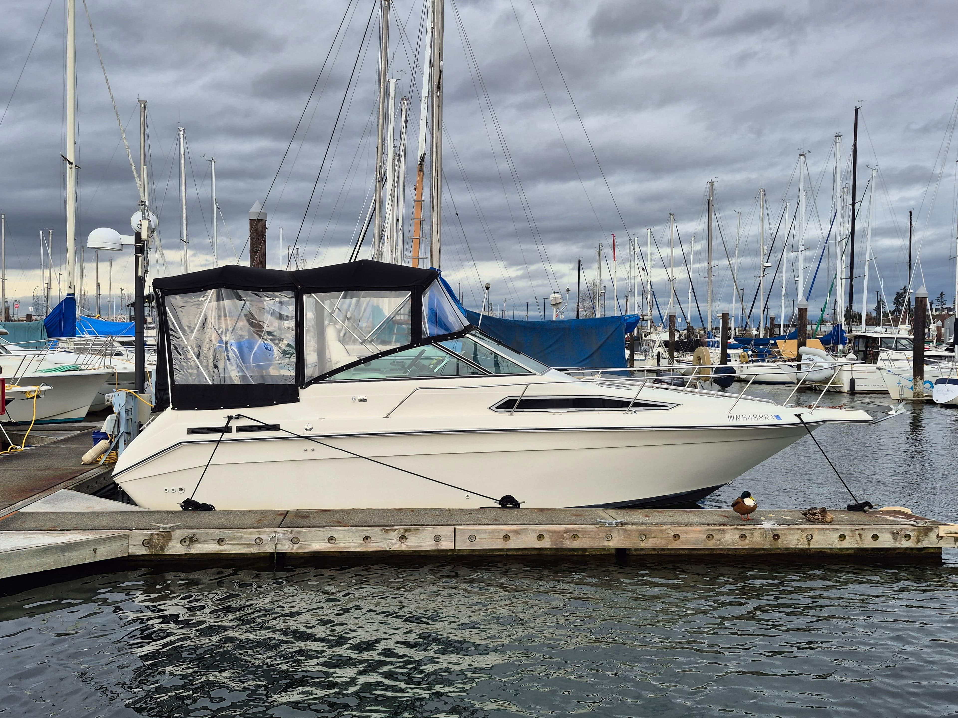 1991 Searay 250 express