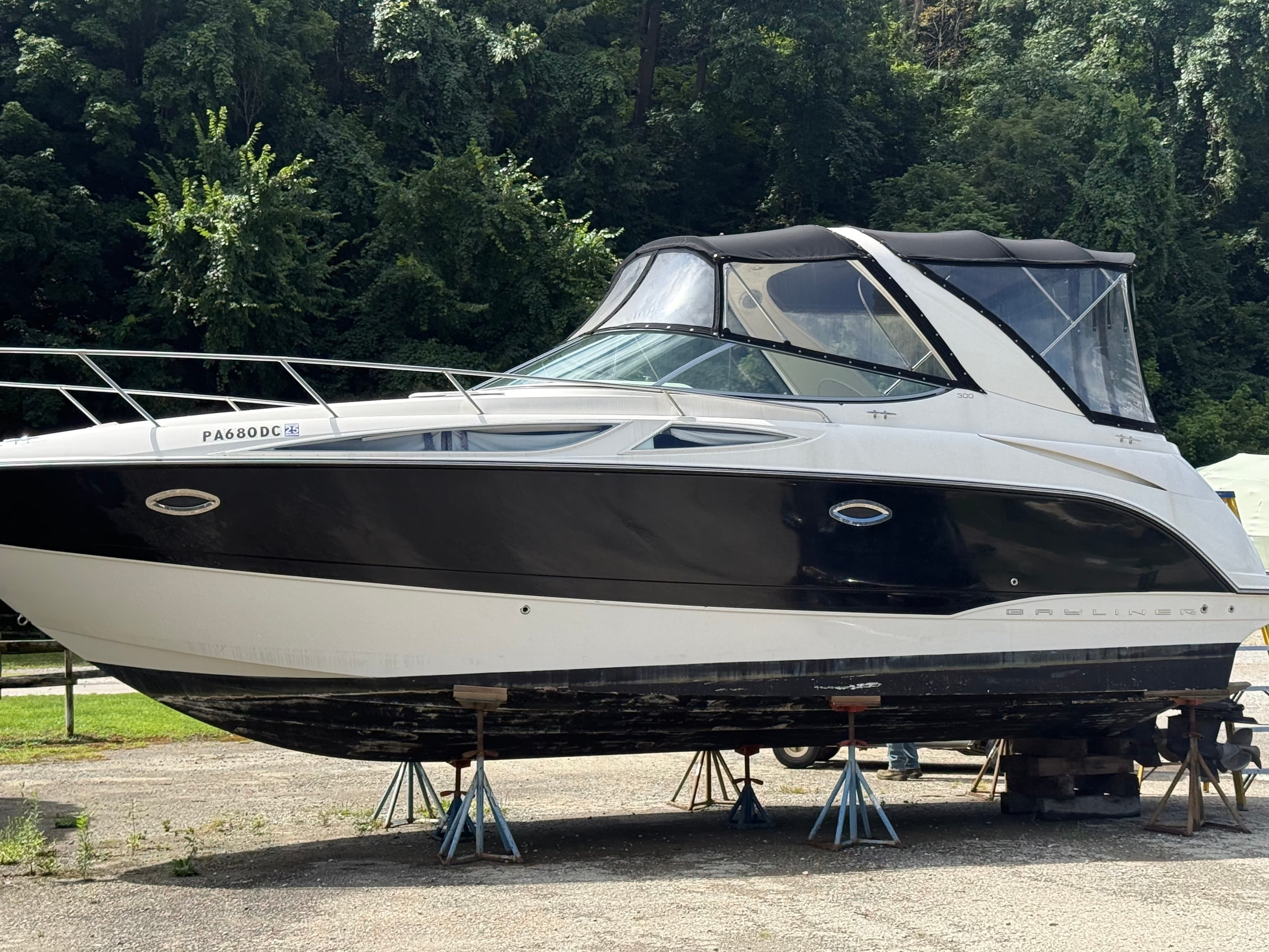 2008 Bayliner 300