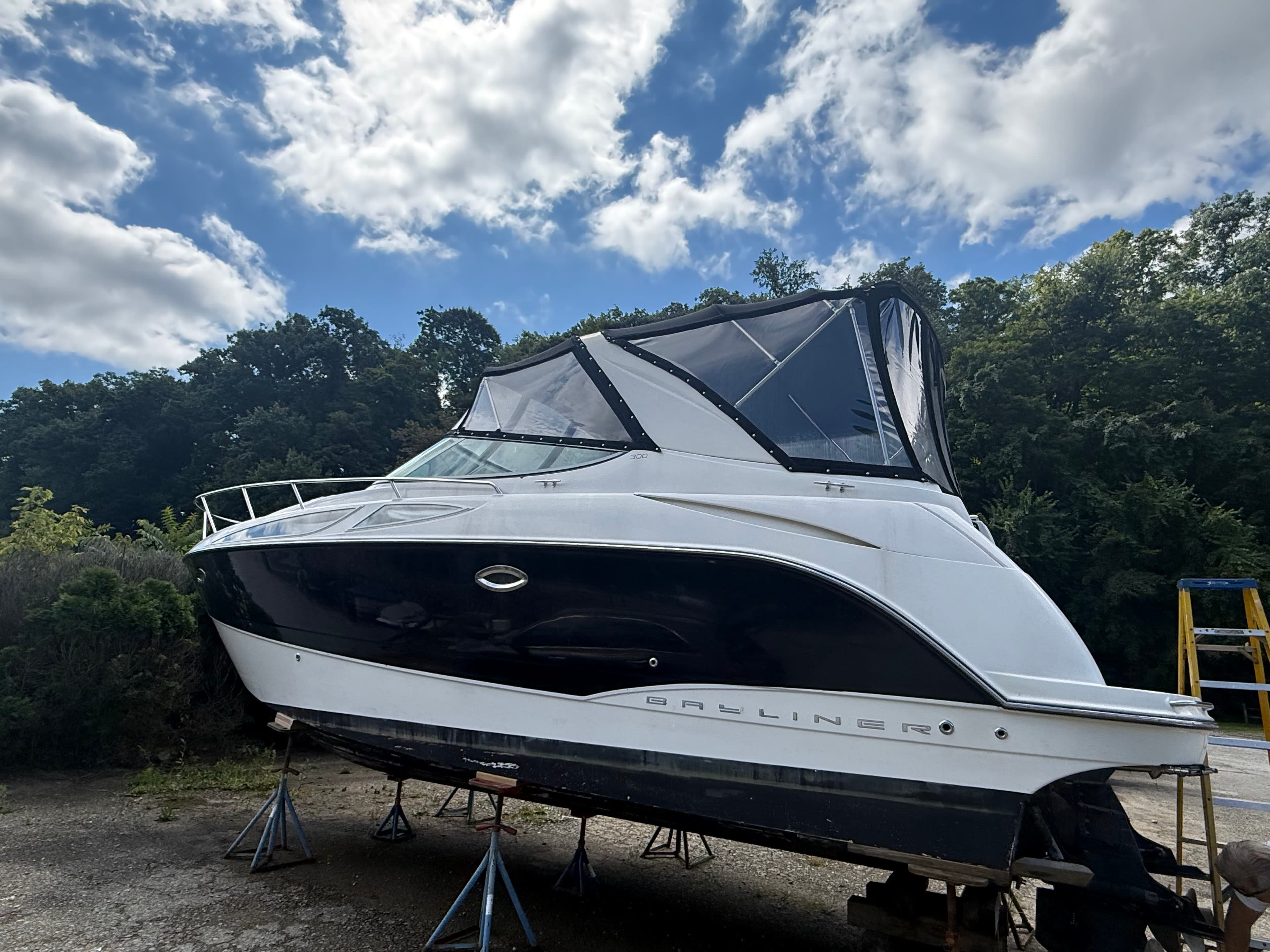 2008 Bayliner 300 thumbnail 1