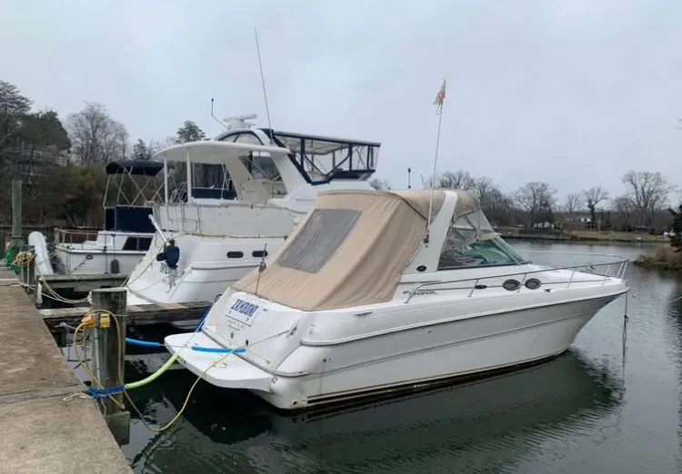 2001 Sea ray Sundancer 310
